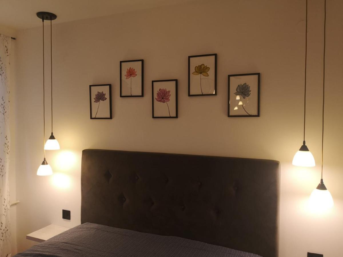 Apartman Darvin / Lux ベオグラード エクステリア 写真