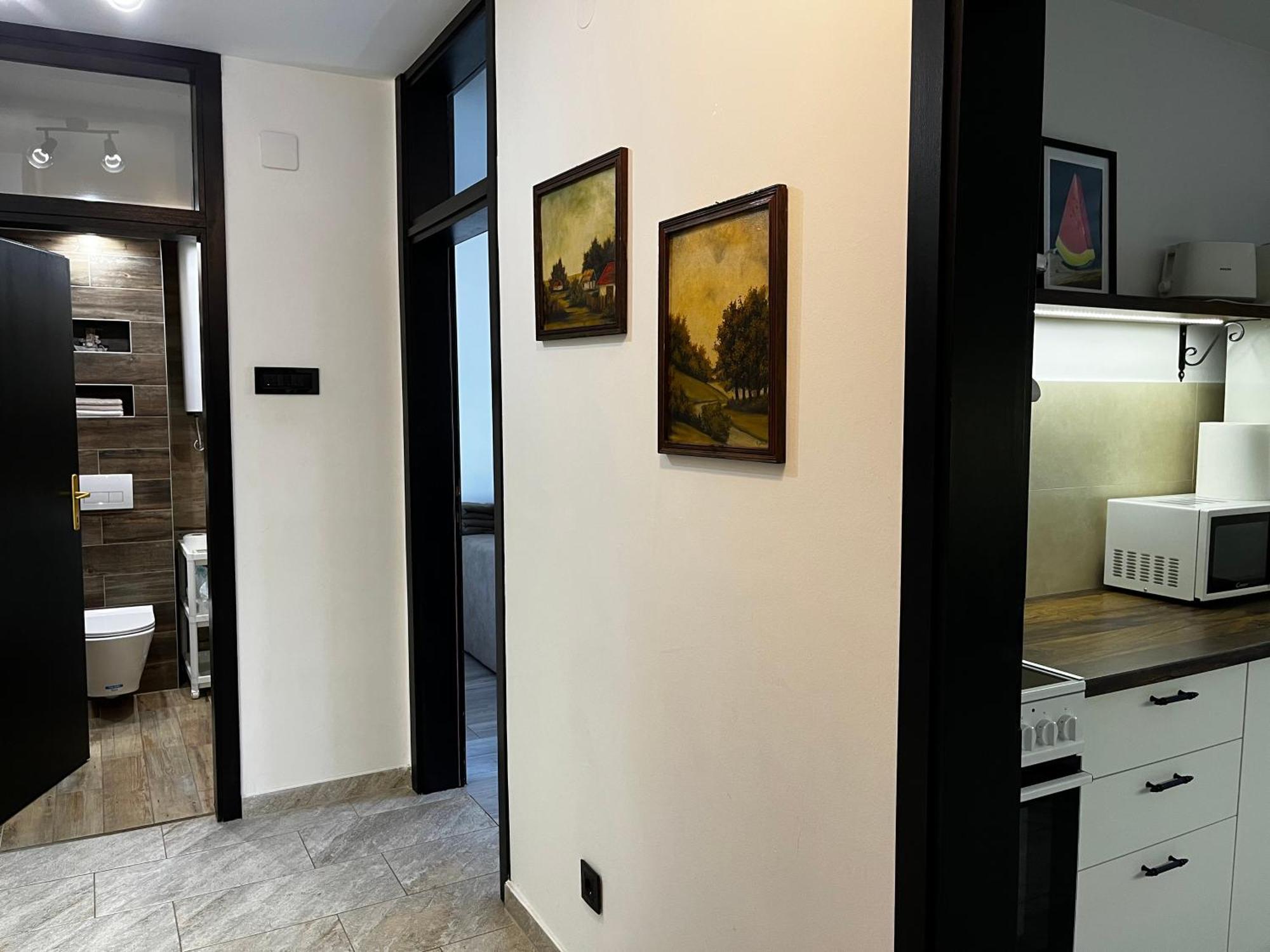 Apartman Darvin / Lux ベオグラード エクステリア 写真